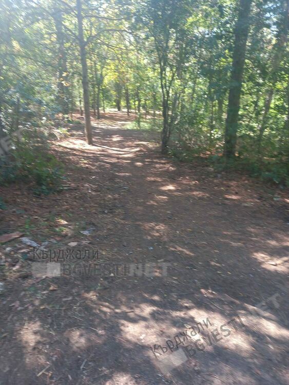 Незаконна рампа за велосипедисти в парк „Простор” взриви социалните мрежи