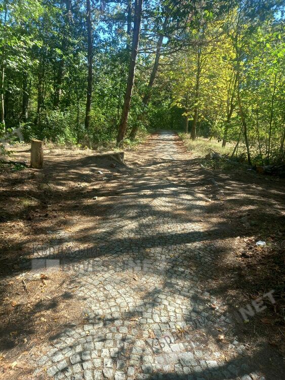 Незаконна рампа за велосипедисти в парк „Простор” взриви социалните мрежи