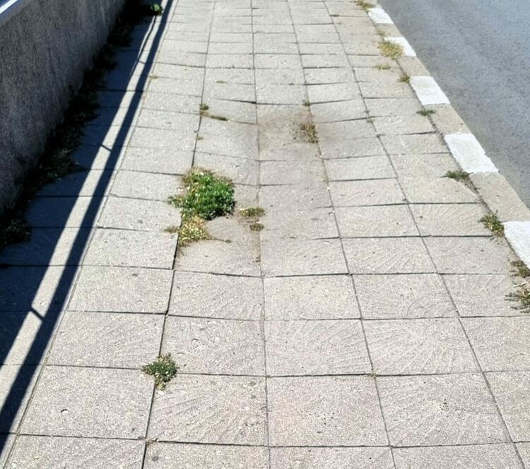 Ремонтират тротоари в Асеновград 