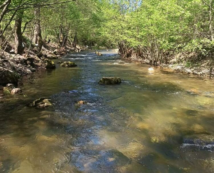 Забраниха риболова в реките Черна и Девинска