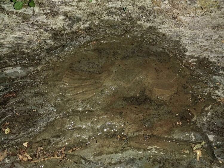 Да се намали територията на Фосилни находки предлагат от РИОСВ - Пловдив