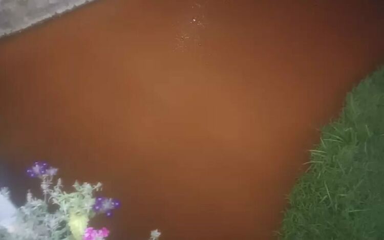 Цветът на Струма преди две седмици рязко се смени.