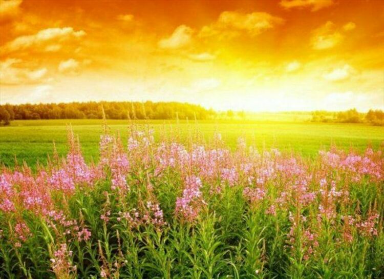 Предимно слънчево в четвъртък и с температури до 29 градуса 