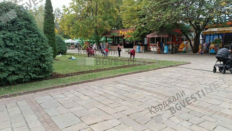   Общинската фирма ОБЧ пести 100 бона на сезон на данъкоплатците, разсажда в Кърджали цветя собствено производство