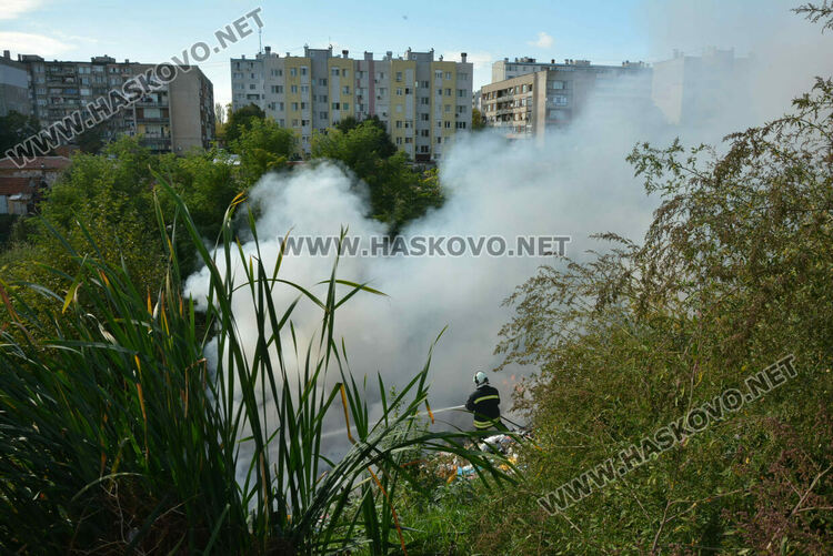  Гори в дерето на кв. „Република“ 