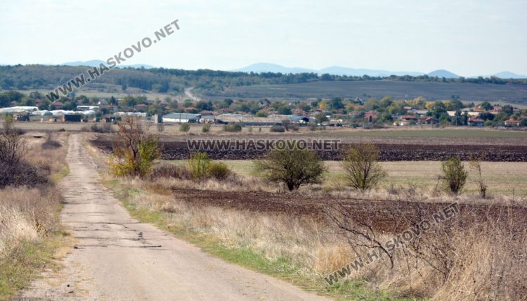 Вече умъртвиха 250 овце от зарaзената с шарка ферма в Узунджово 