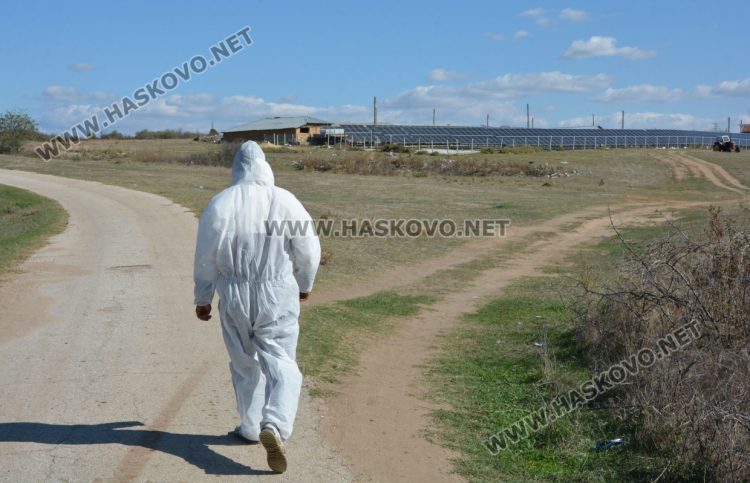 Вече умъртвиха 250 овце от зарaзената с шарка ферма в Узунджово 