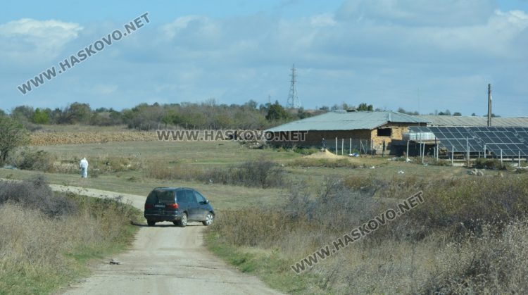 Вече умъртвиха 250 овце от зарaзената с шарка ферма в Узунджово 