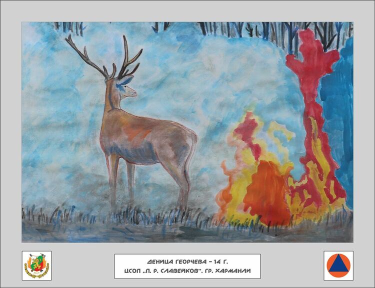 Деца от Хасковско с награди от националния конкурс „С очите си видях бедата“