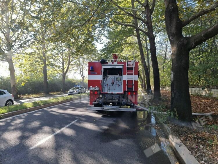 Гори горска постеля на изхода на Кърджали срещу бившия Оловно-цинков завод