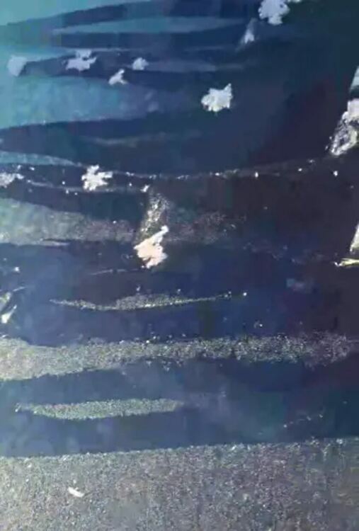 Поредно ледено утро в Смолянско