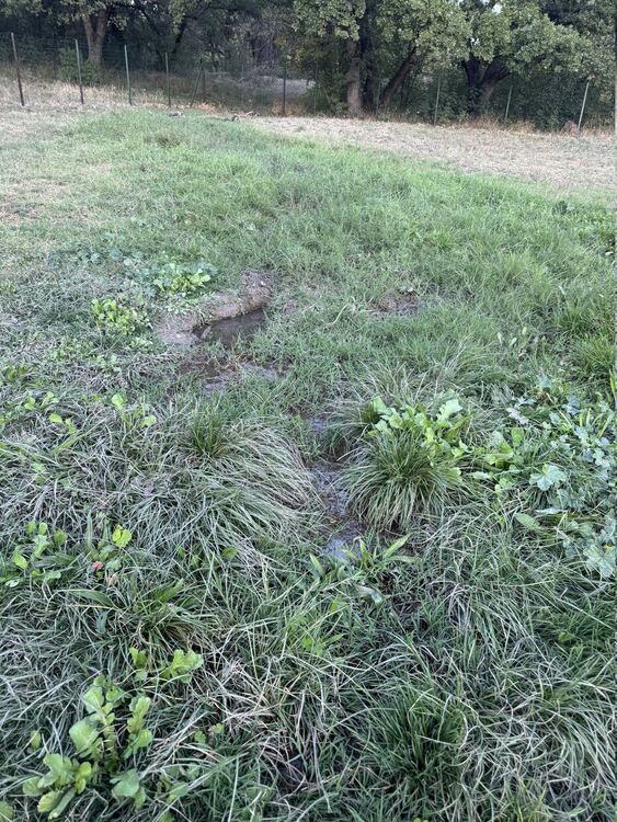 Хасковлия сигнализира за теч на вода в кучешката площадка в „Кенана“