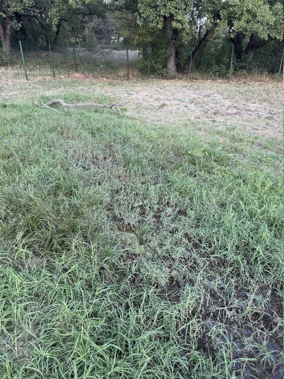 Хасковлия сигнализира за теч на вода в кучешката площадка в „Кенана“