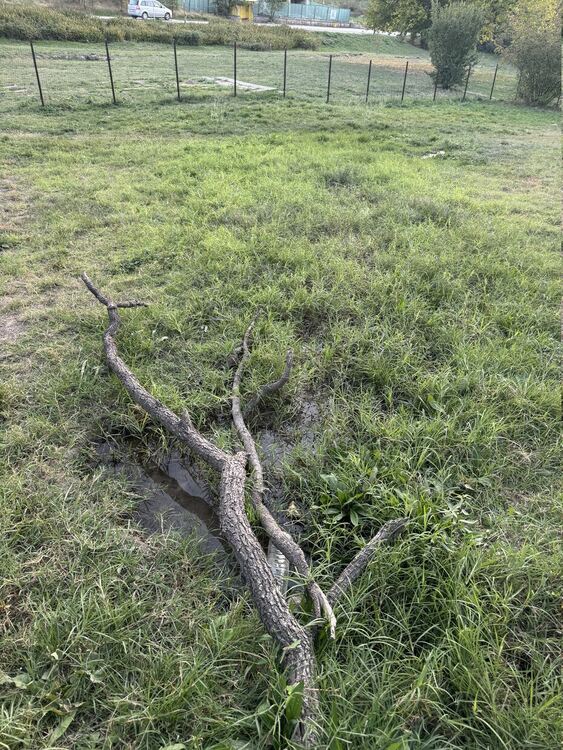 Хасковлия сигнализира за теч на вода в кучешката площадка в „Кенана“