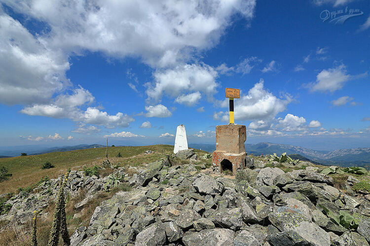 При голям интерес премина първото издание на състезанието по планинско бягане „Вертикален Руй“