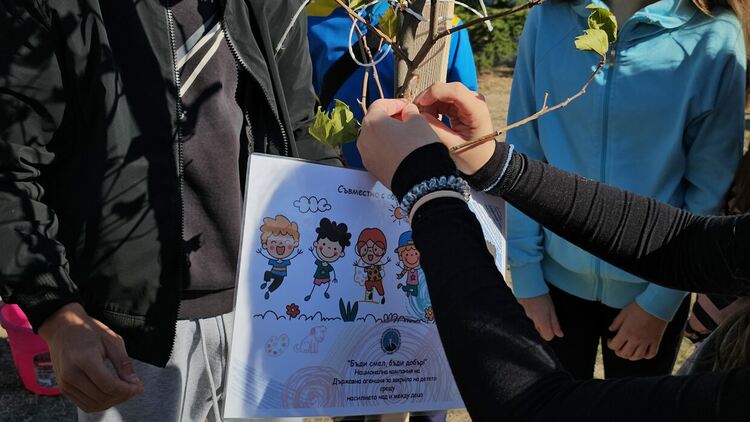 Малчугани от училища и детски градини в Димитровград засадиха дръвчета в кампания срещу насилието над деца