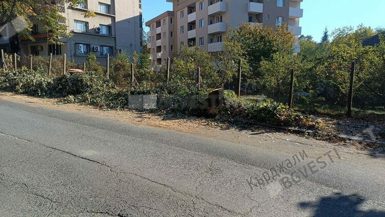 Секат липи по бул.”България”заради строеж,кърджалийци недоволстват