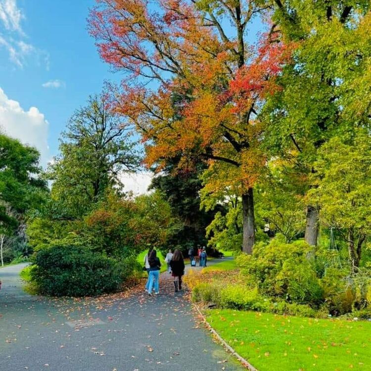 Слънчево време в сряда и с температура до 22 градуса