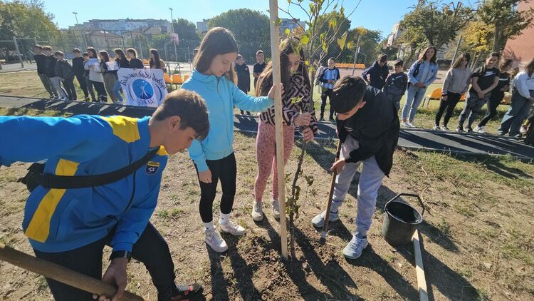 Малчугани от училища и детски градини в Димитровград засадиха дръвчета в кампания срещу насилието над деца