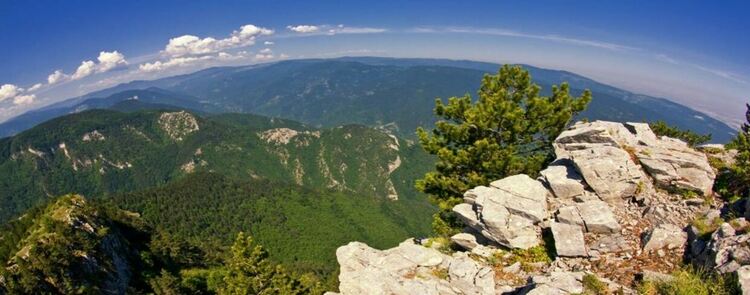 РИОСВ – Пловдив обявява Седмица на отворените врати, посветена на биосферен парк „Червената стена“