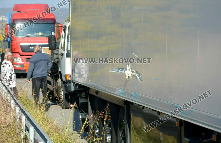 Катастрофа между камиони се размина с минимални щети