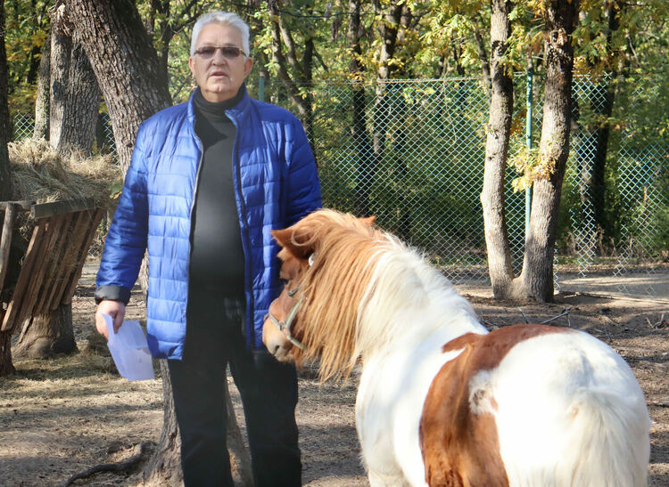 Любимото пони на децата Марти вече е в зоопарка в Хасково 