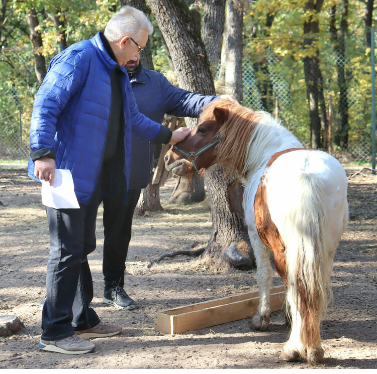 Любимото пони на децата Марти вече е в зоопарка в Хасково 