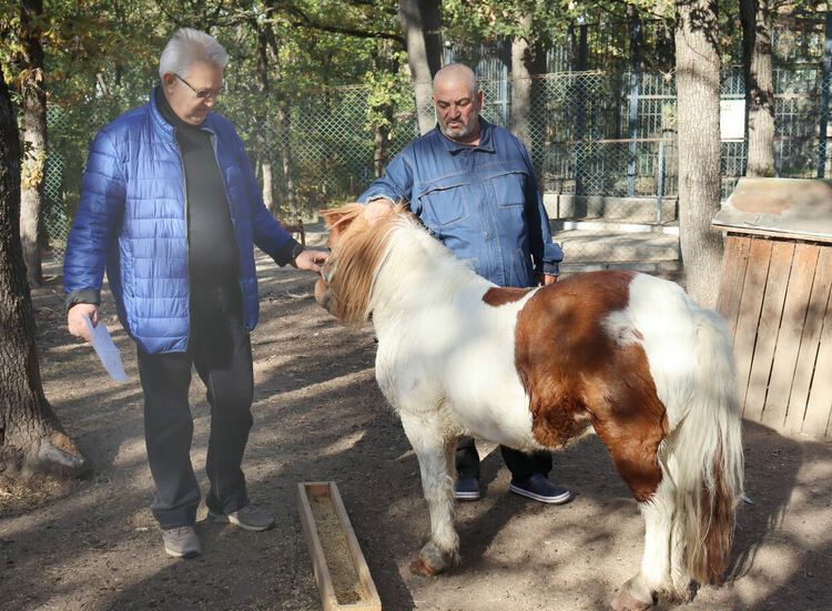 Любимото пони на децата Марти вече е в зоопарка в Хасково