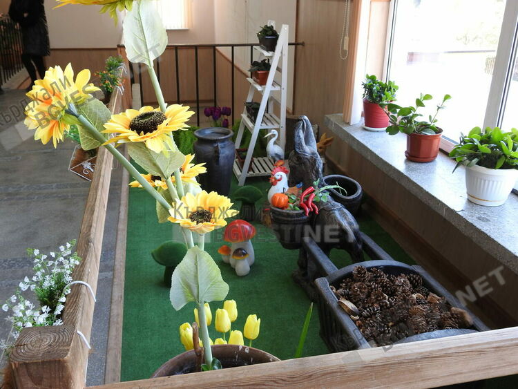 Учители-възрожденци създават бутиково училище за ромски деца в Кърджалийско