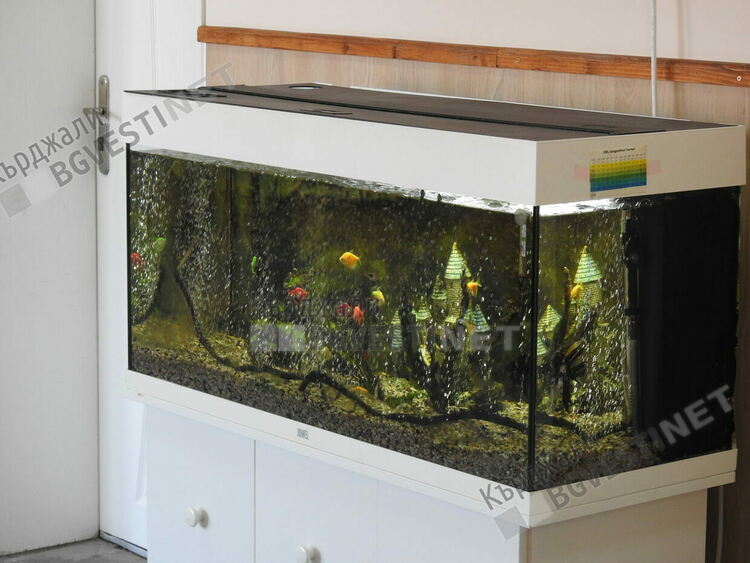 Учители-възрожденци създават бутиково училище за ромски деца в Кърджалийско