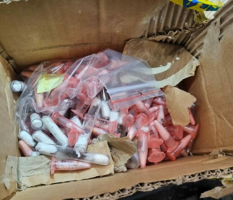 Откриха 243 тарантули и 100 гущери под легло в кабината на тир