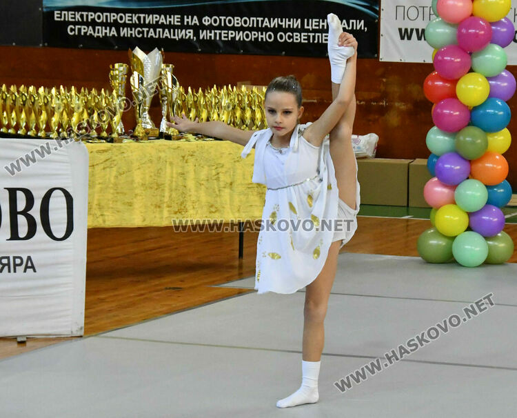  Над 500 са участниците във фестивала „Фантазия“