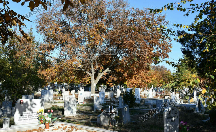 Архангелова задушница е! 	