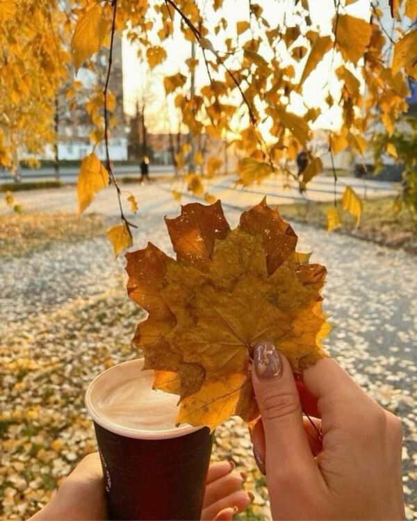 Предимно слънчево и с температура до 17 градуса