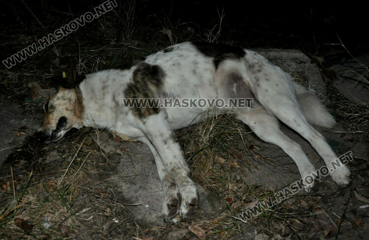 Снимката е илюстративна (архив)