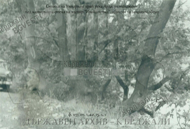 105 години от рождението на Стефана Иванова Василева