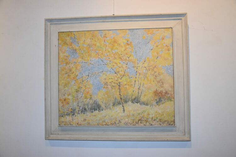 Откриха изложба на д-р Димитър Стефанов в Културния център на Харманли