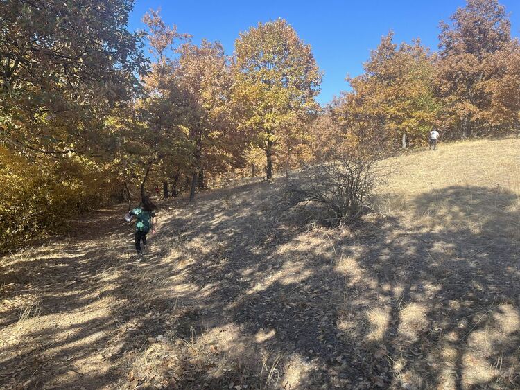 Над 80 състезатели стартираха на Купа „Минерални бани“