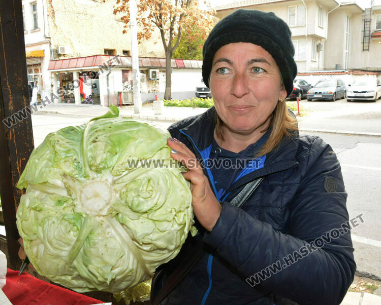 В сезона на туршиите: Зелето и зелените домати поскъпнаха на хасковския пазар