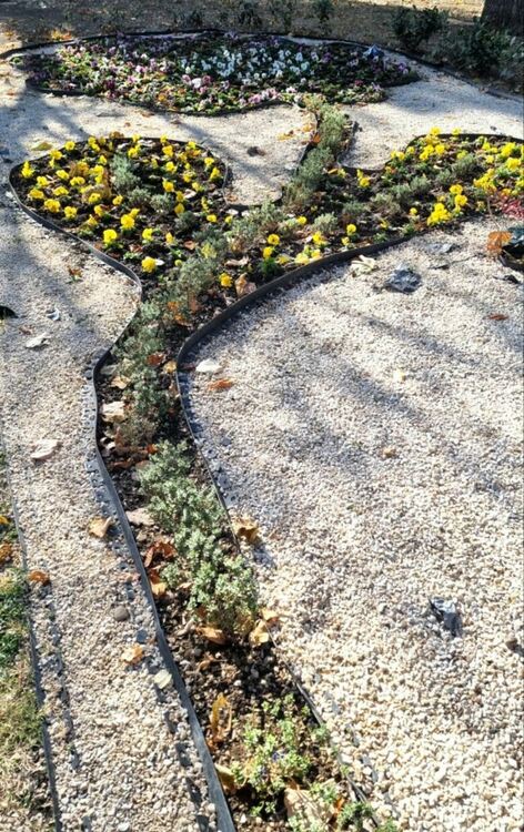 Освежиха с нови цветя зелените пространства в Асеновград 