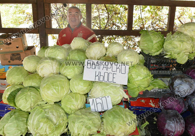 В сезона на туршиите: Зелето и зелените домати поскъпнаха на хасковския пазар