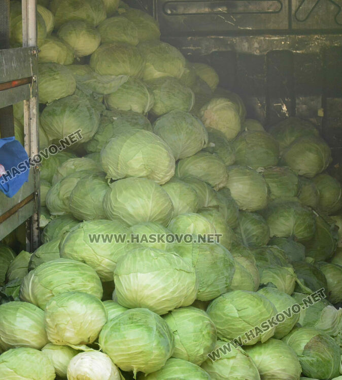 В сезона на туршиите: Зелето и зелените домати поскъпнаха на хасковския пазар