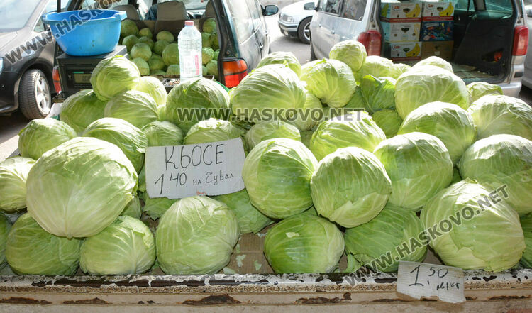 В сезона на туршиите: Зелето и зелените домати поскъпнаха на хасковския пазар