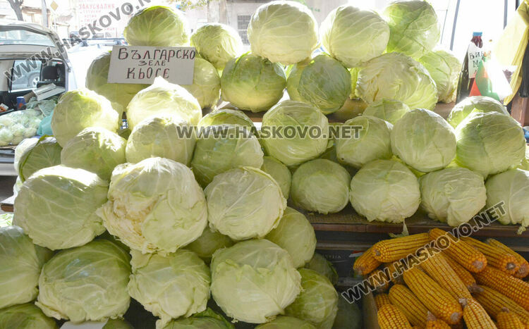 В сезона на туршиите: Зелето и зелените домати поскъпнаха на хасковския пазар