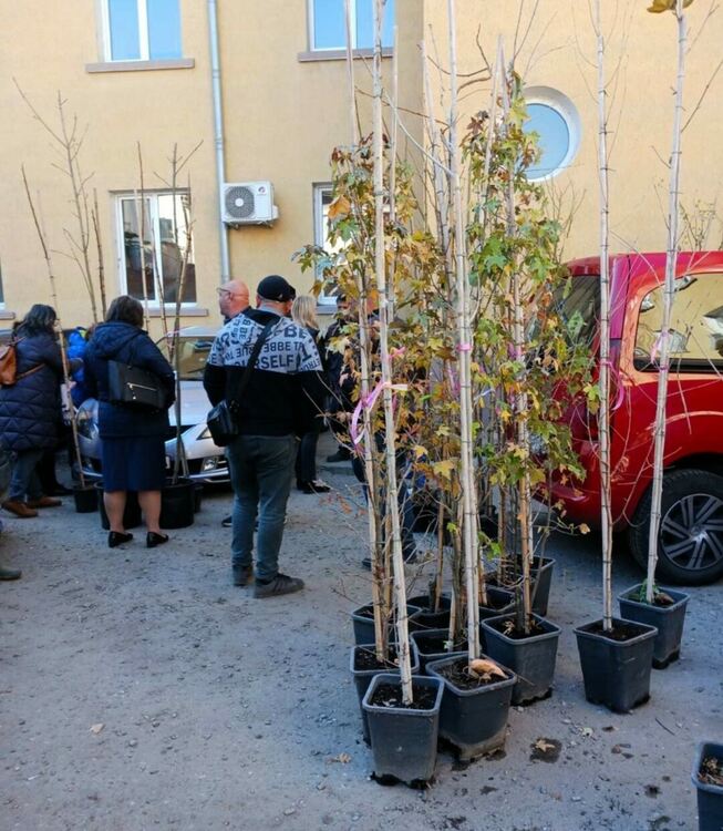 Близо 110 дървета бяха предоставени безплатно на граждани от община Асеновград 