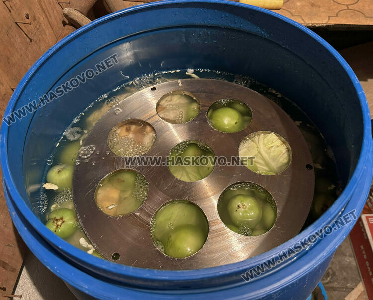 В сезона на туршиите: Зелето и зелените домати поскъпнаха на хасковския пазар