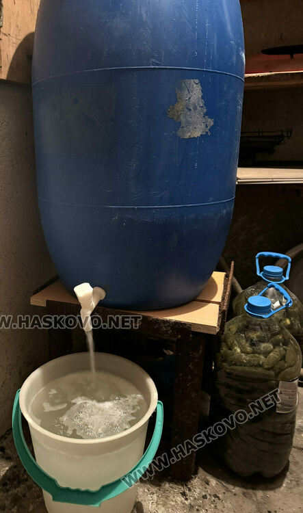 В сезона на туршиите: Зелето и зелените домати поскъпнаха на хасковския пазар