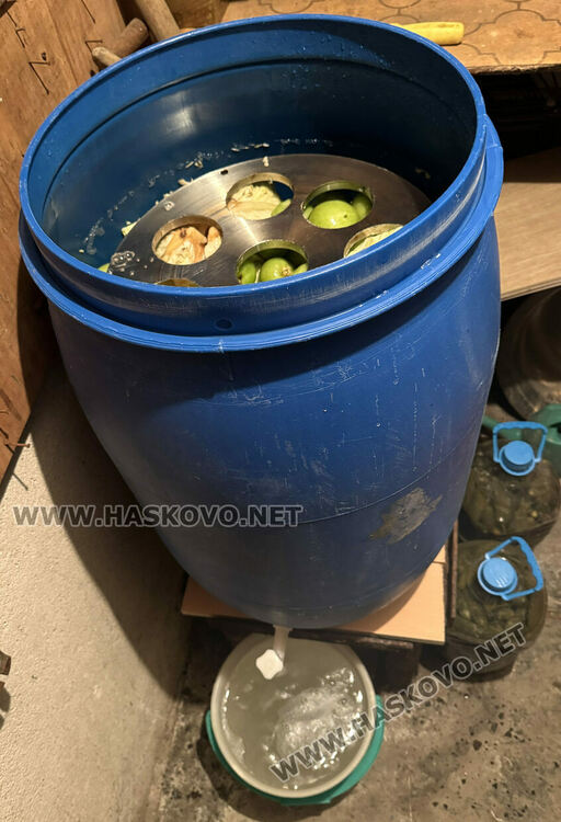 В сезона на туршиите: Зелето и зелените домати поскъпнаха на хасковския пазар