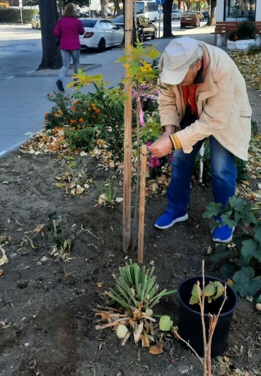 Близо 110 дървета бяха предоставени безплатно на граждани от община Асеновград 