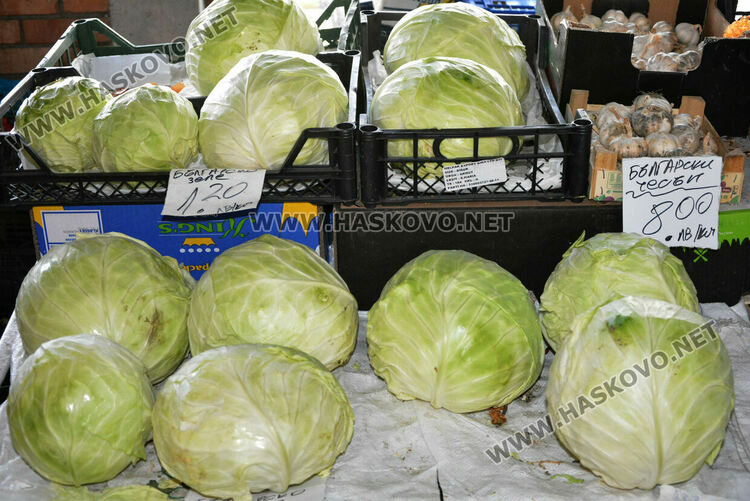 В сезона на туршиите: Зелето и зелените домати поскъпнаха на хасковския пазар